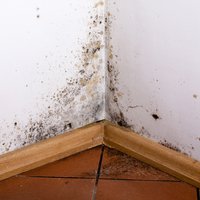 fotolia.com/cegli
